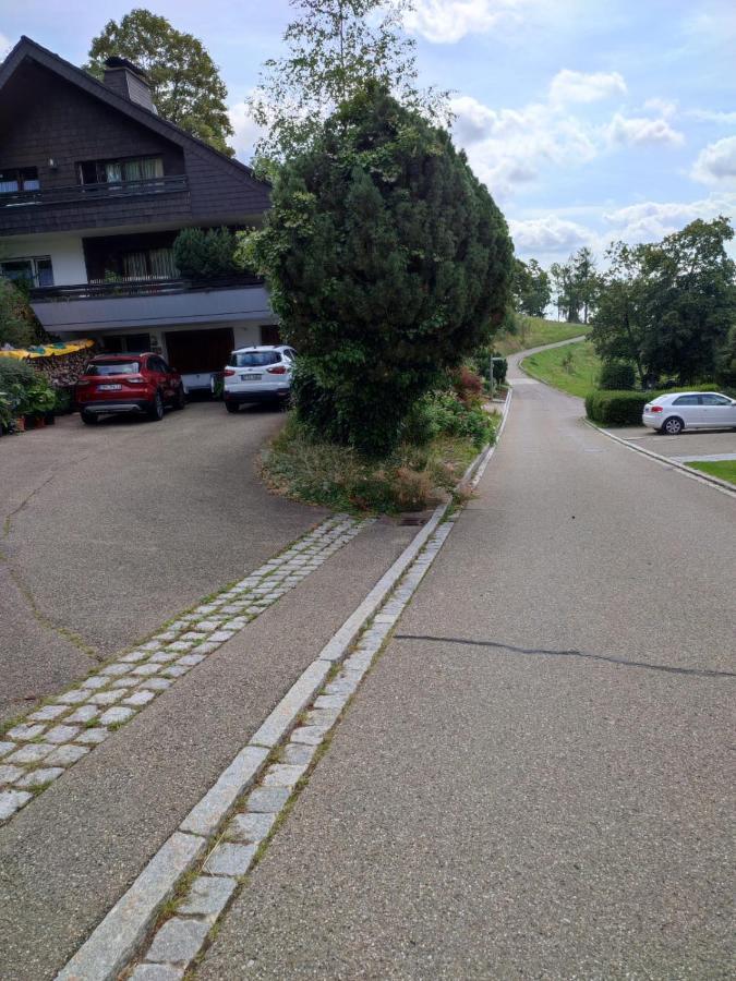 伦茨基希Feldbergsicht公寓 外观 照片
